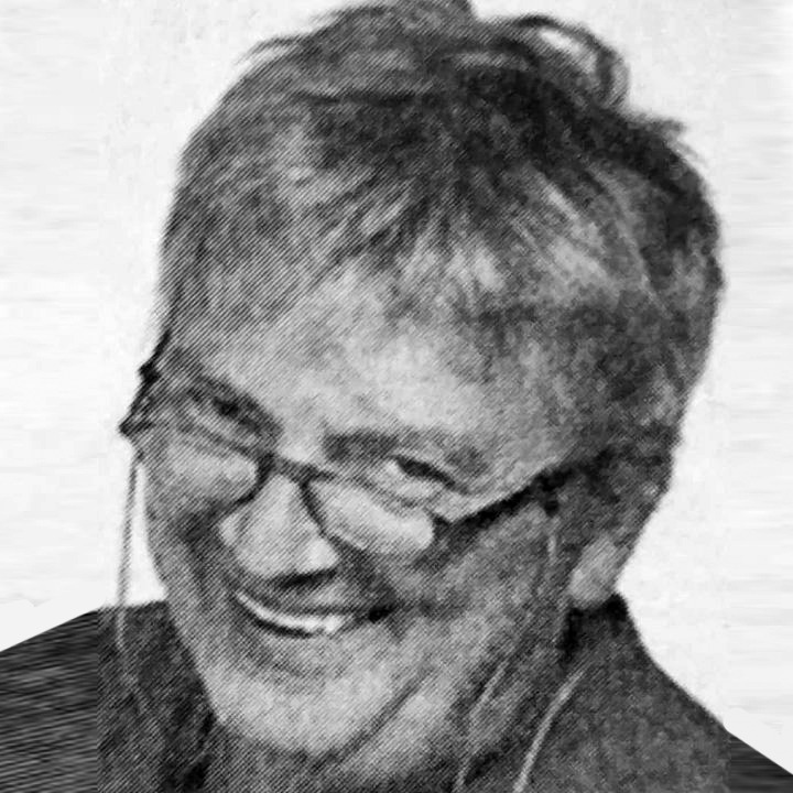 prof. dr Vojkan Vukadinović