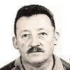 Petar Bulović
