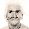 Iva Kolovrat