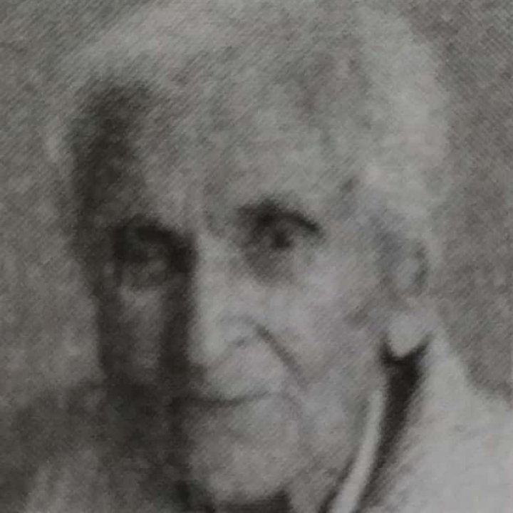 Darinka Milinković
