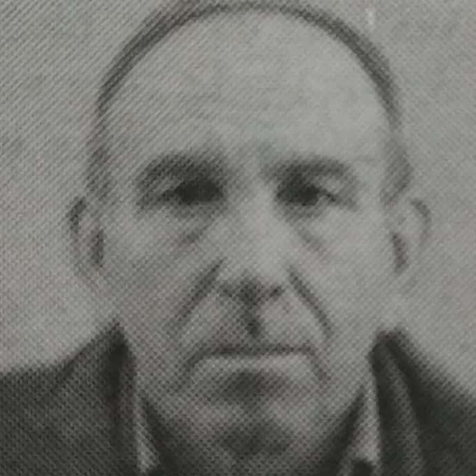 Zoran Mitrović