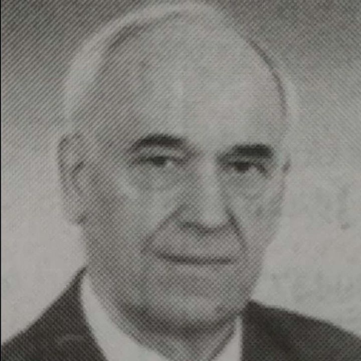 prof. dr Nedeljko Plavšić