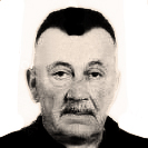 Stjepan Budić