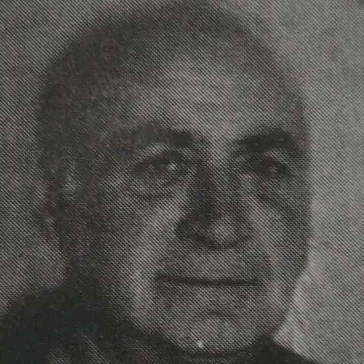 Milan Čupić