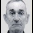 Ivan Pećerić
