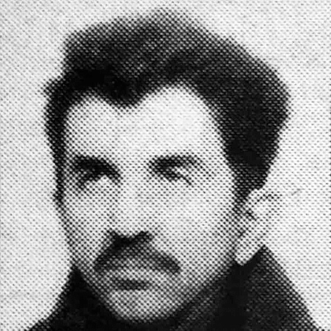 Miroslav Šaulić