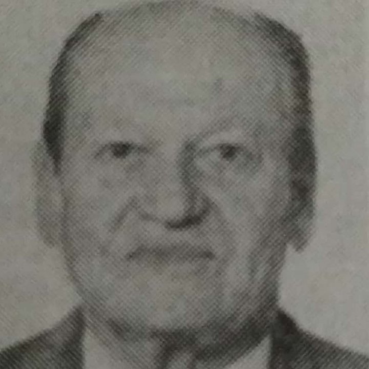 dr sci. Radosav Đorđević