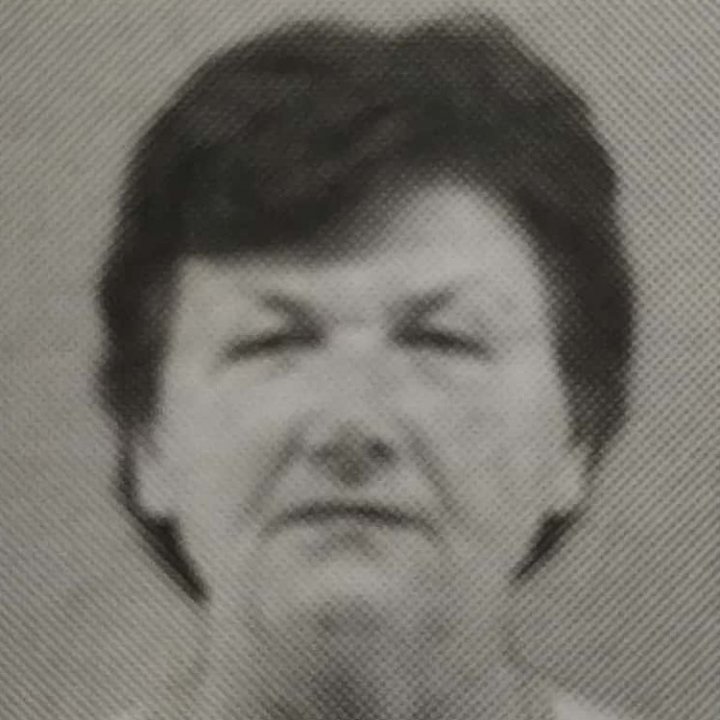 Živka Tomić