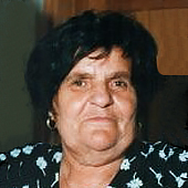 Ruža Rotim