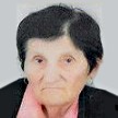 Šima Rajić