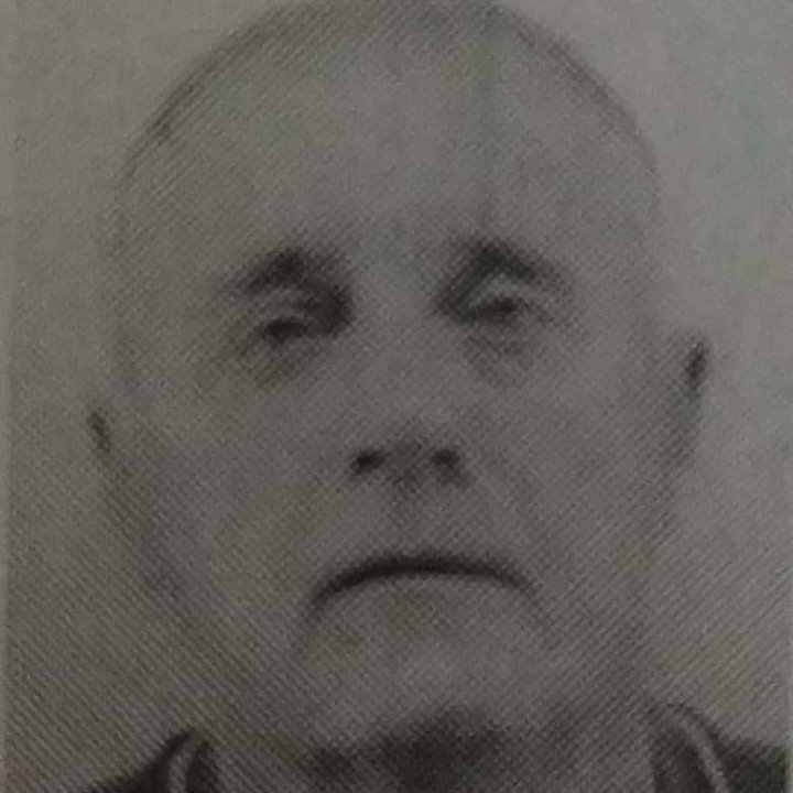 Nikola Surla
