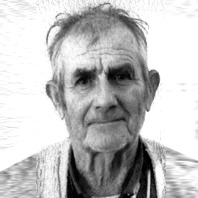 Gojko Nižić