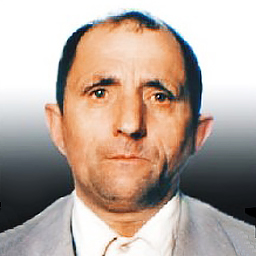 Josip Martić