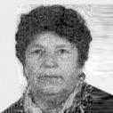 Nesima Havić