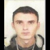 Elvis Murtić