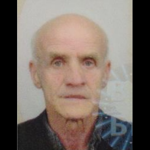 Selim Šabanović