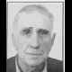 Niko Krivić