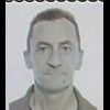 Ante Zelić