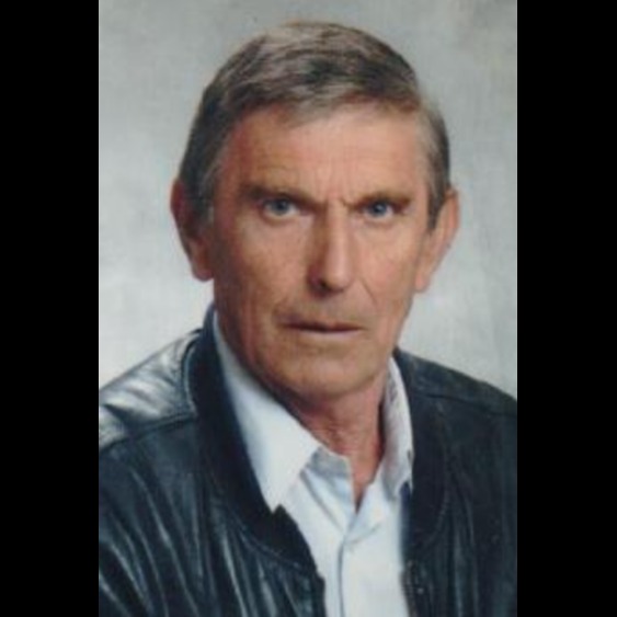 Hasib Šehović