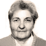 Ruža Rogalo