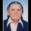 Bega Hajdarević