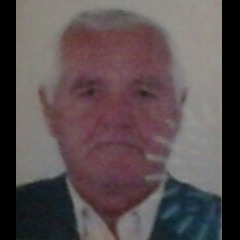 Milorad Šaraba