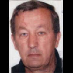 Nedžib-Vezir Džanko