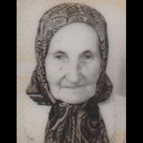 Tima Bečić