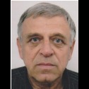 Ramiz Džino