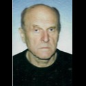 Branimir Videković