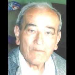 Radivoje Vuković