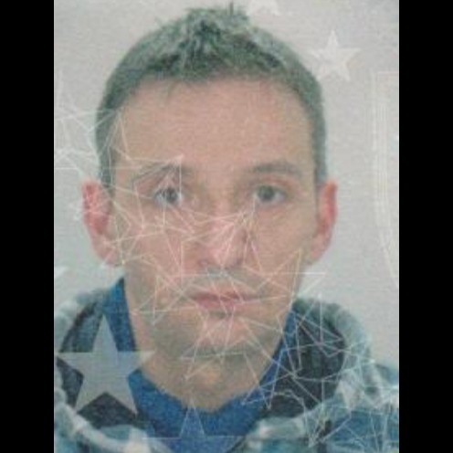 Faris Arapović