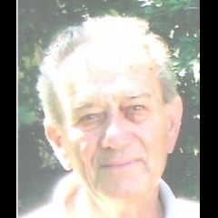 Mirko-Mišo Zelenović
