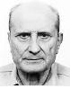 Dominik Bezić