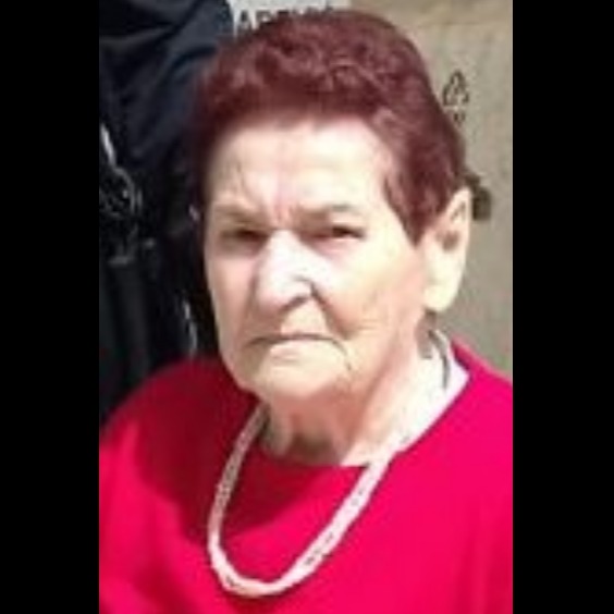 Hasena Vilić