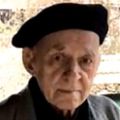Vojislav Pelajić