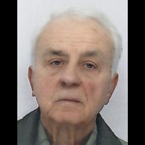 Anto Borić