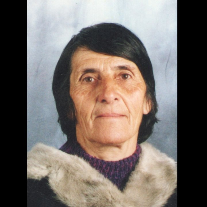 Stanuša Bjelica