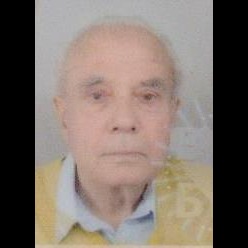 Pašan Dedajić