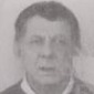 Stjepan Višić