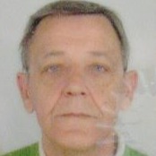 Sead Efendić