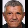 Alojzije Džidić
