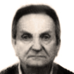 Dragutin Višek