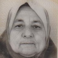Šahza Kapetanović