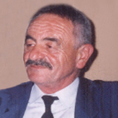 Svetozar Grdinić