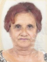 Šemsa Salkić