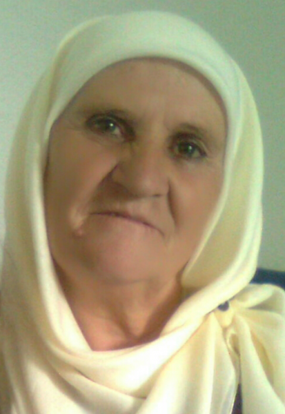 Hata Fišić