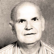 Alija Velić