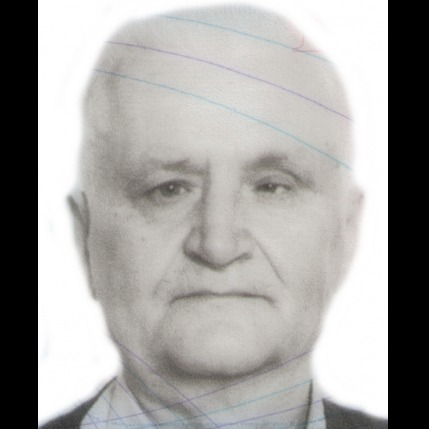 Bahrija Lujinović