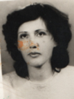 SABAHETA FUKELJ